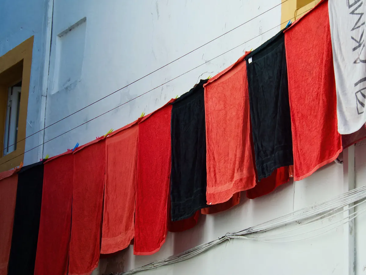 Introduction to évora day tours