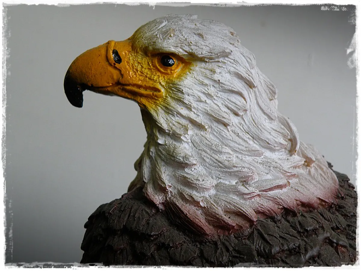 Aguilas