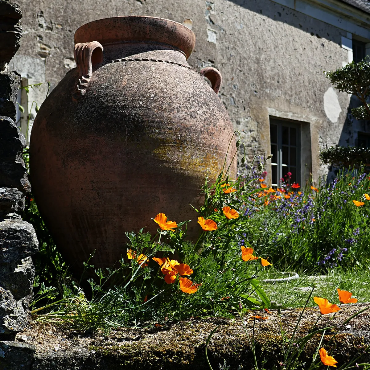 Béhuard