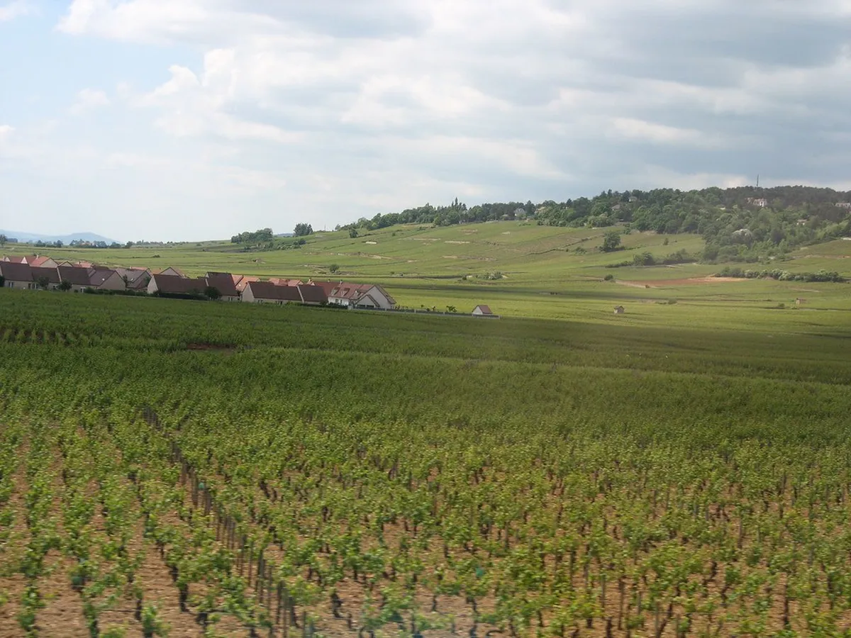 Introduction to beaune attractions