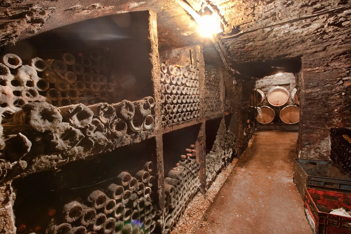 Introduction to beaune experiences