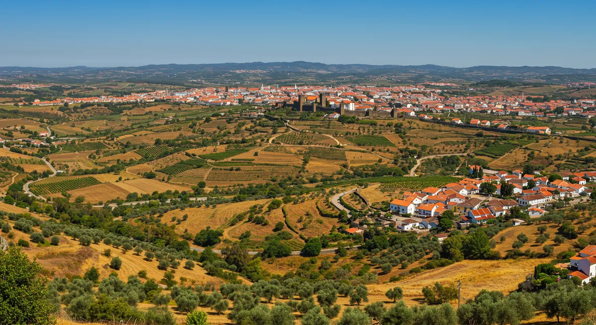Viseu Day Tours: Explore Beyond the City in 2025