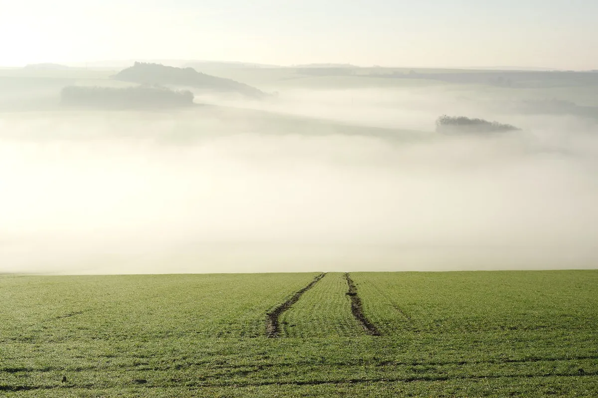 Burgundy Countryside