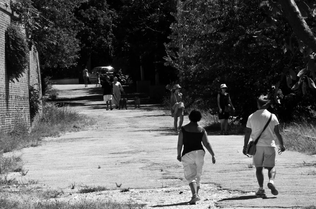 Cardeto Park