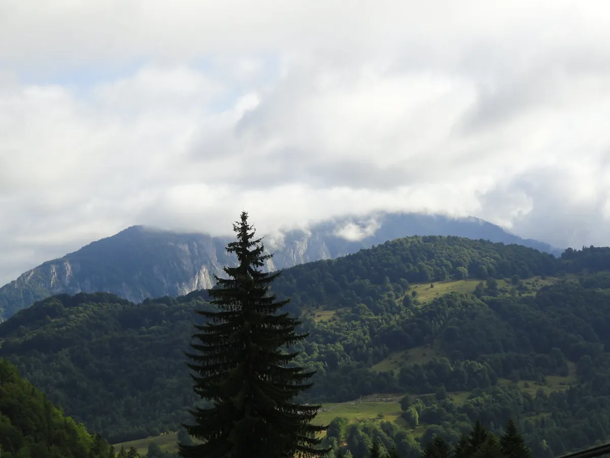 Carpathian Mountains