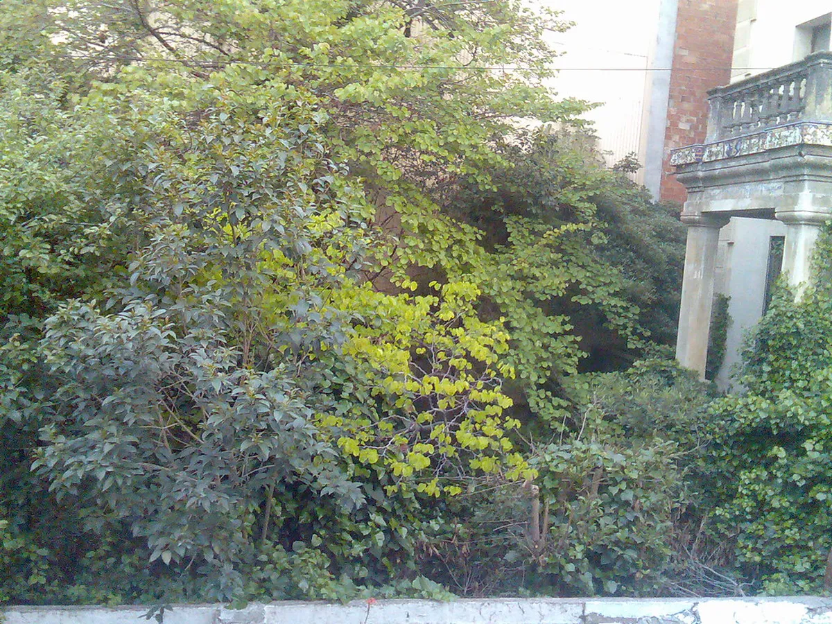 Casa Pairal