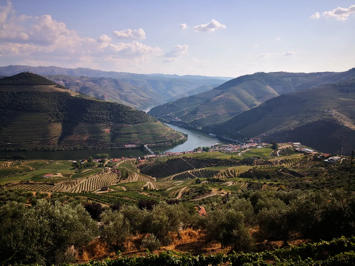 Casal de Loivos Viewpoint