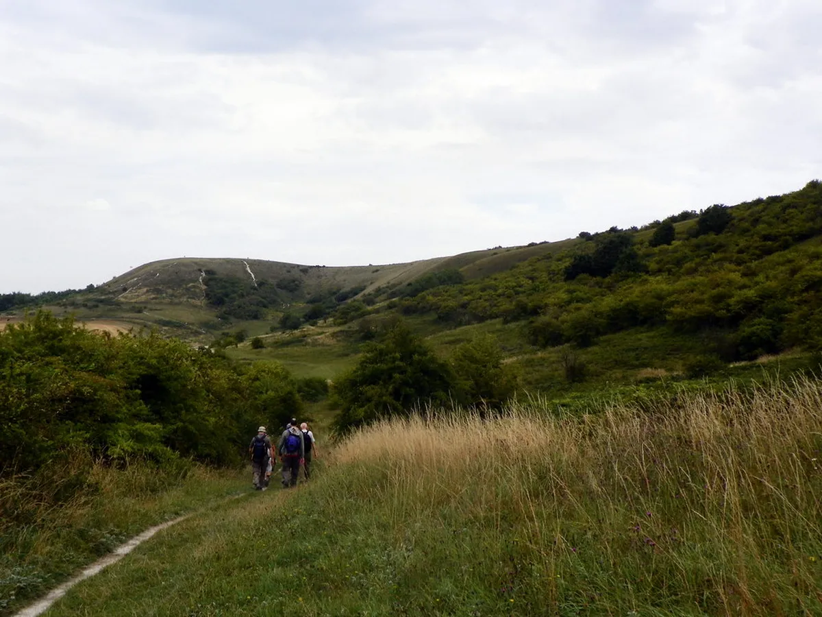 Chiltern Hills Area of Outstanding Natural Beauty