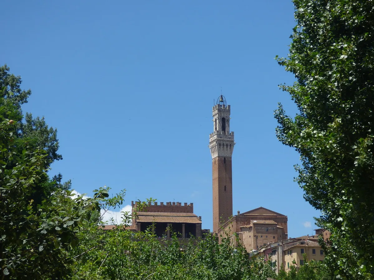 Introduction to cremona attractions