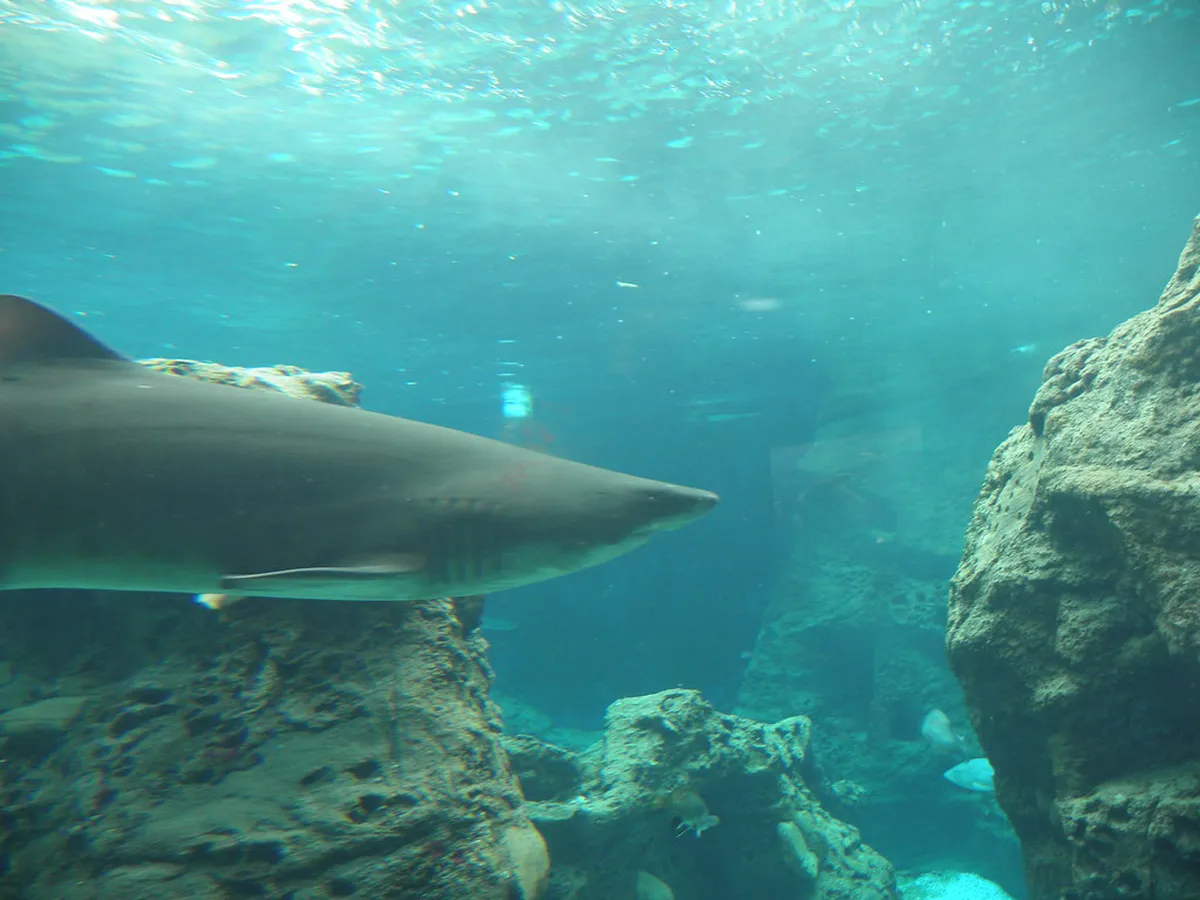 Cretaquarium