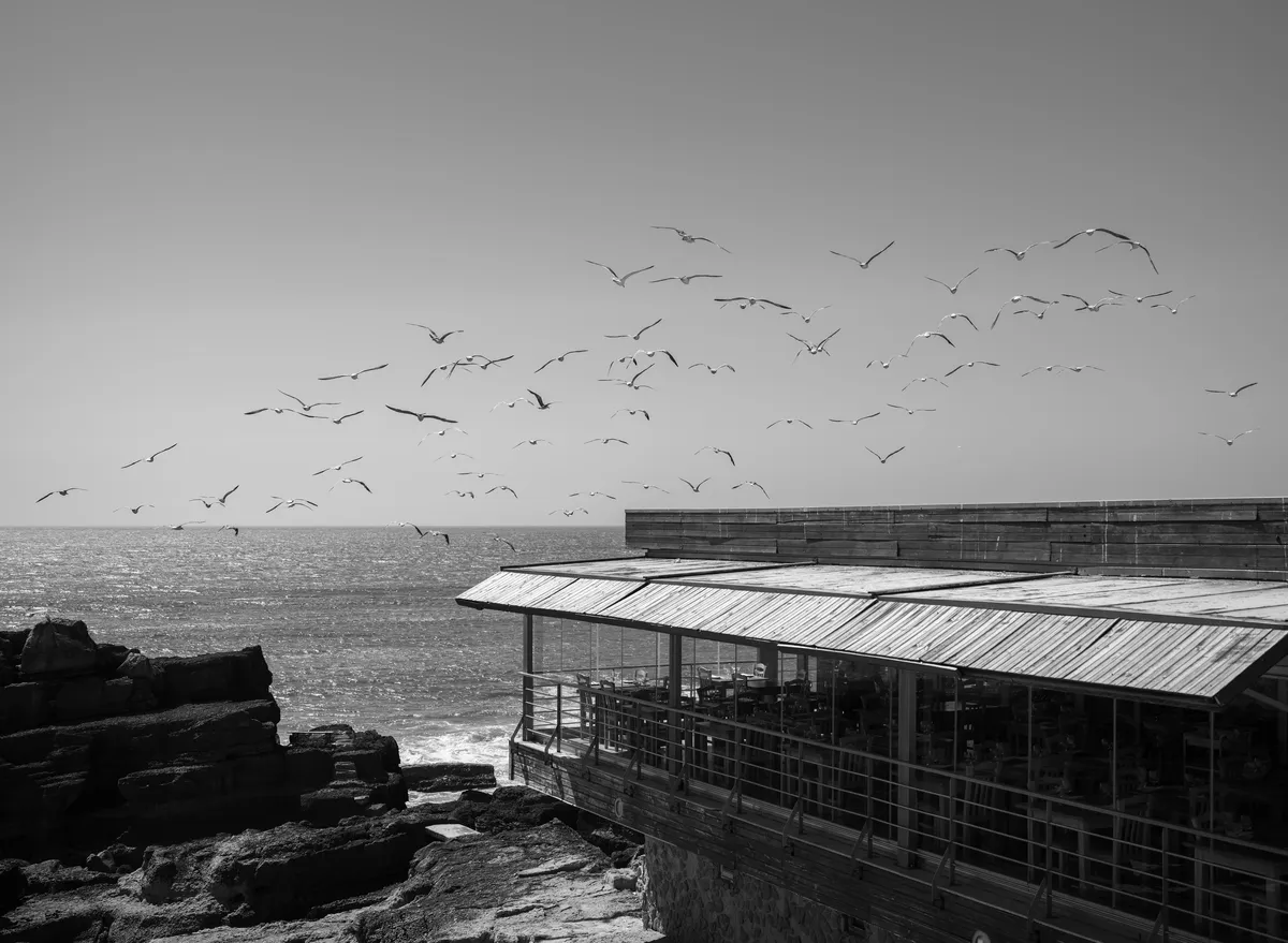 Ericeira's Restaurants