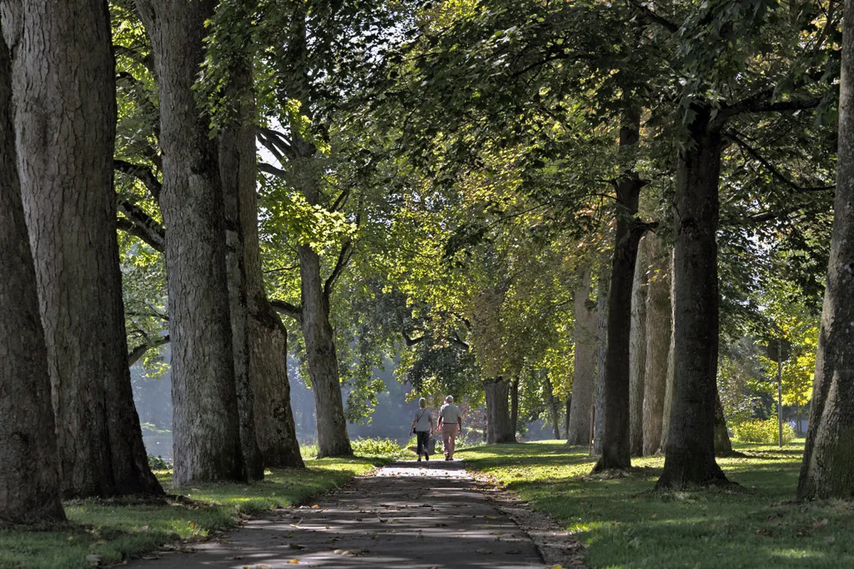 Friedrichsau Park