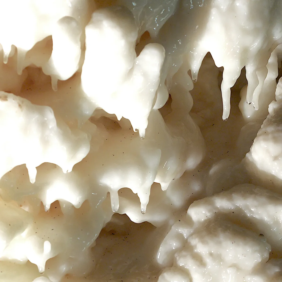 Grotte di Frasassi