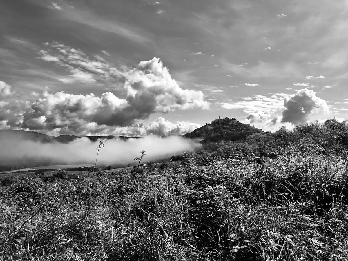 Istrian Countryside