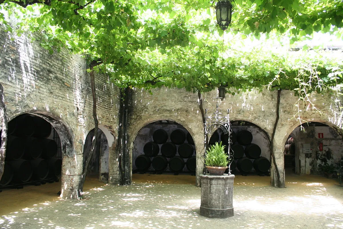 Introduction to jerez de la frontera experiences