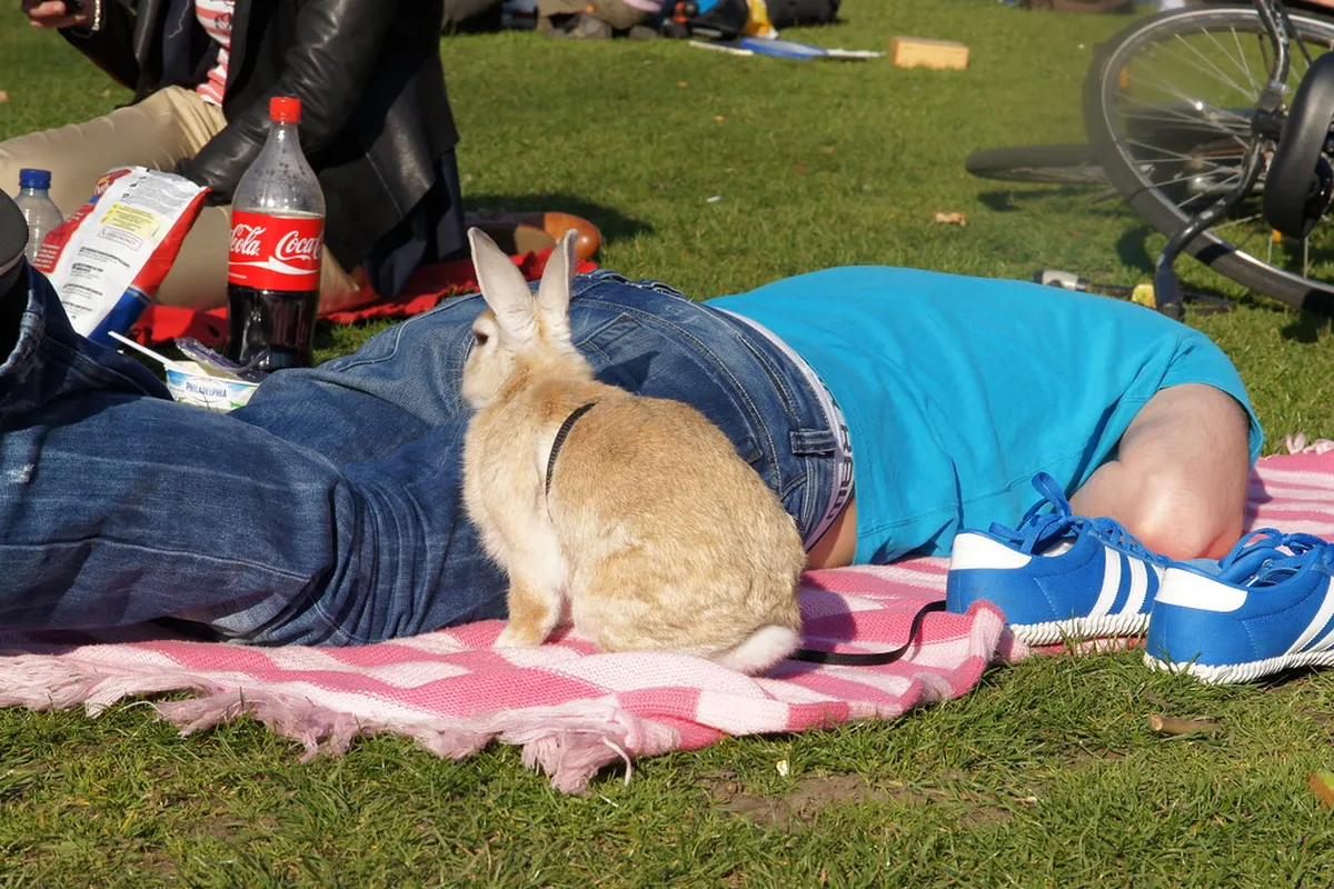 Kronenburgerpark