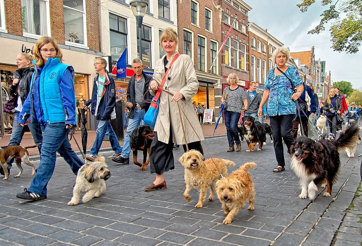 Introduction to leeuwarden activities