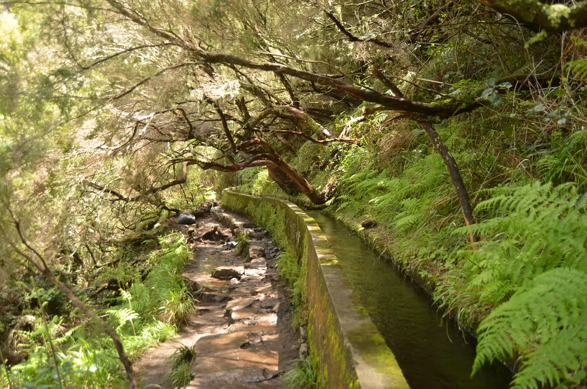 Levada das 25 Fontes