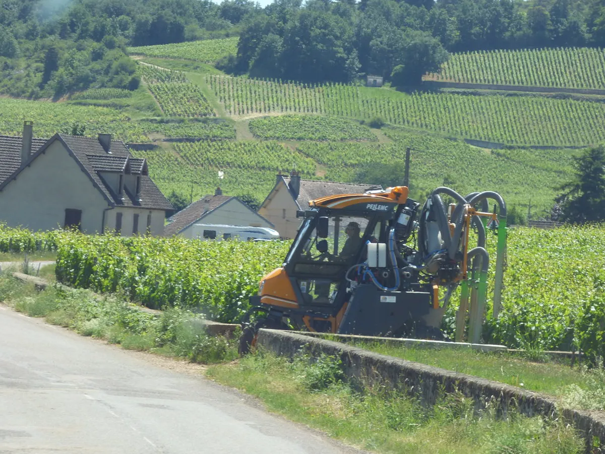Maison Joseph Drouhin