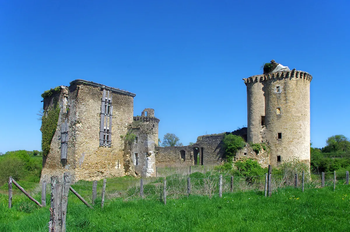 Mir Castle