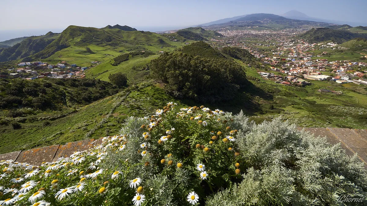 Mirador de Jardina