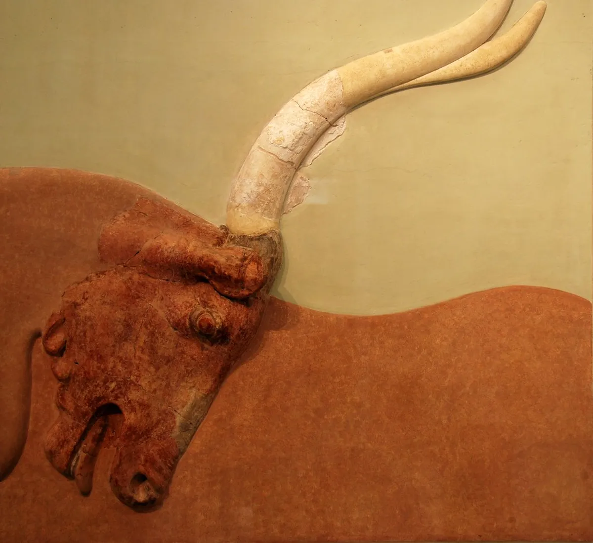 Natural History Museum of Crete