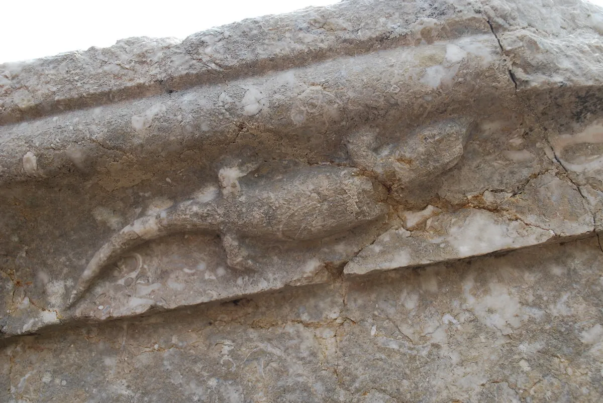 Nicopolis ad Istrum
