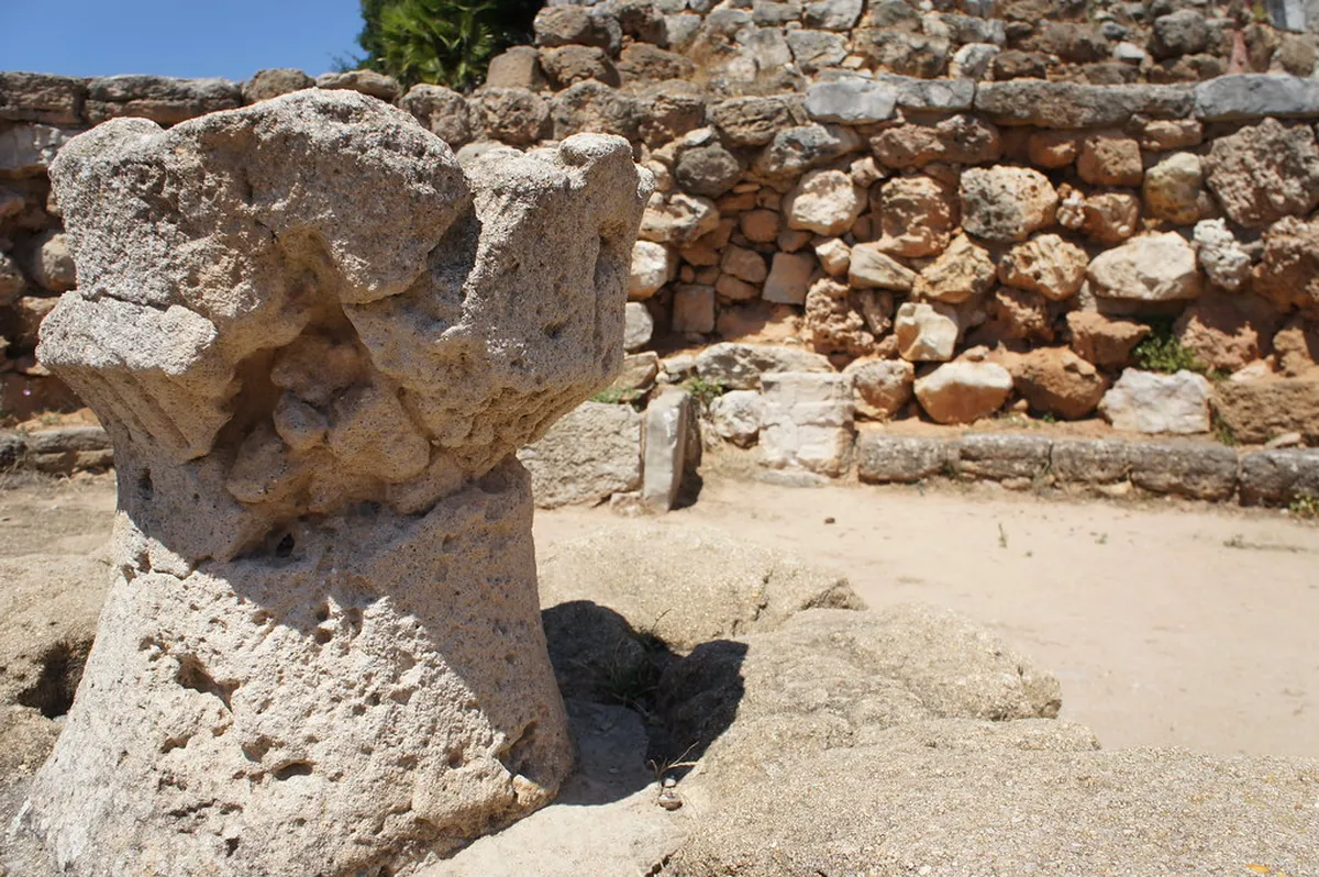 Palmavera