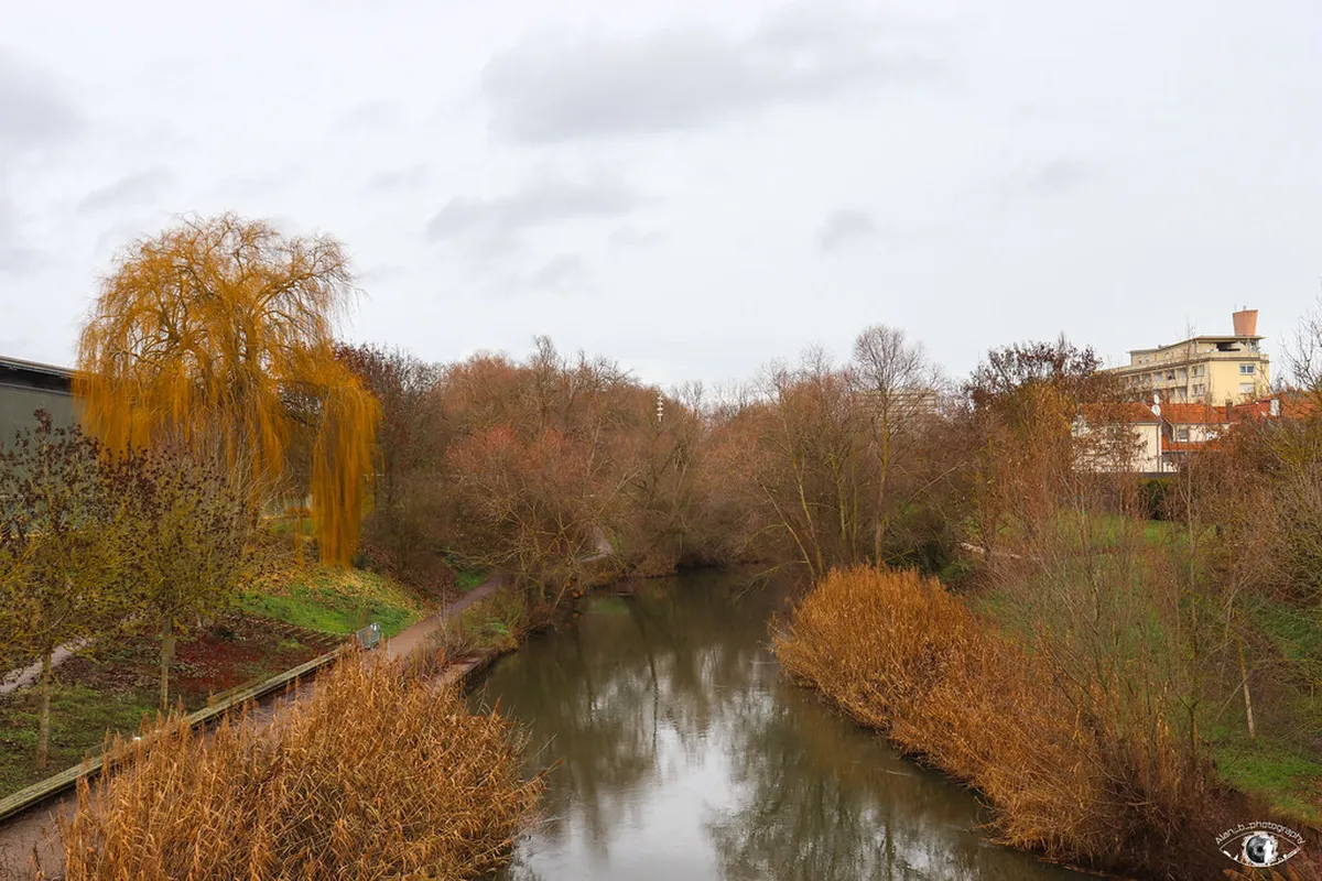 Parc de la Seille