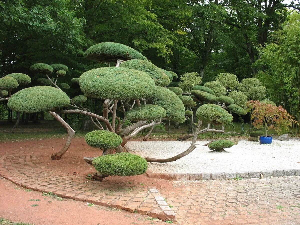 Parc Floral de la Source