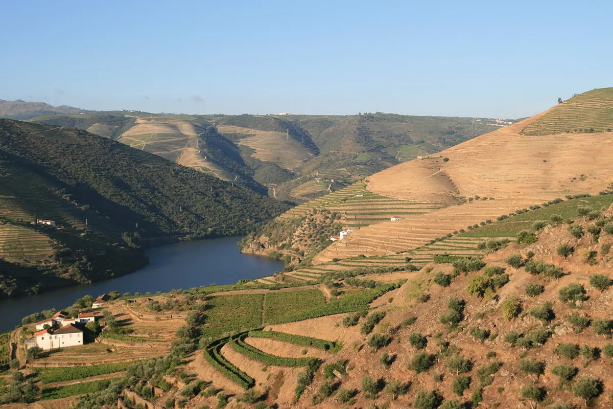Introduction to pinhão day tours