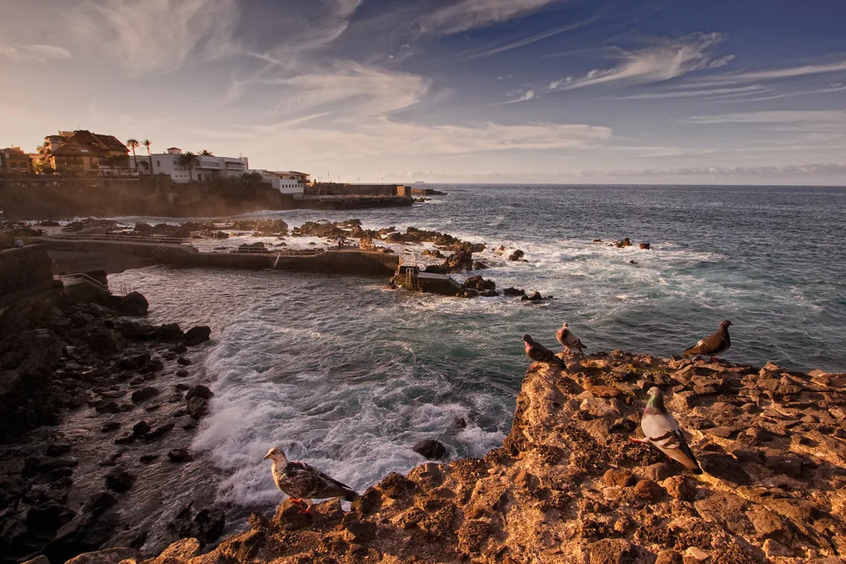 Introduction to puerto de la cruz experiences