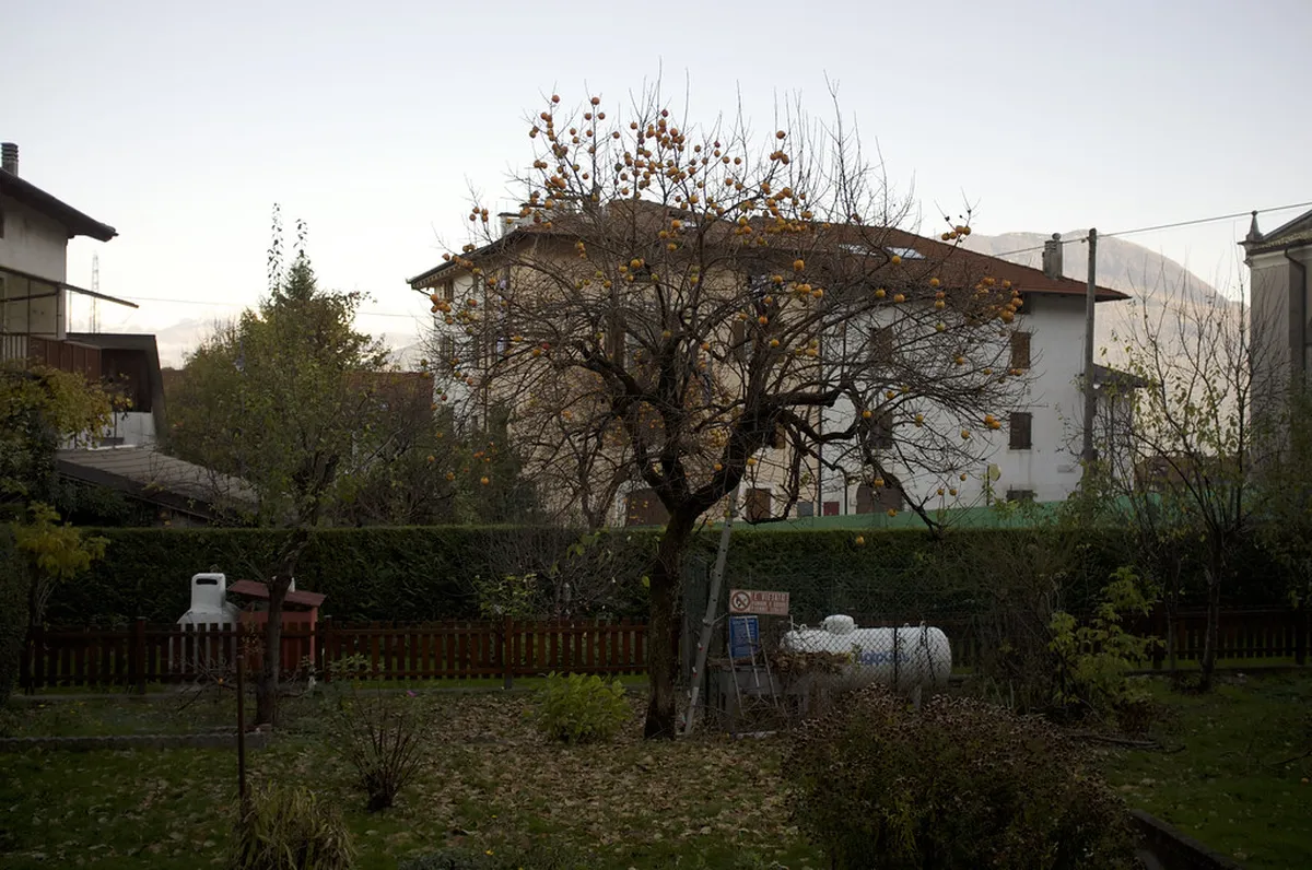 Sardagna