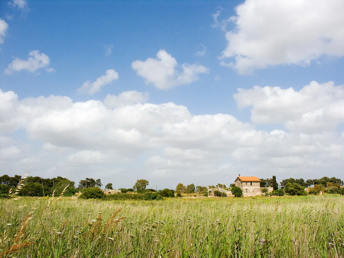 Sardinian Countryside
