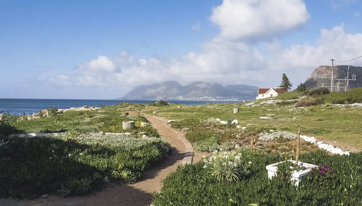 Sea Garden