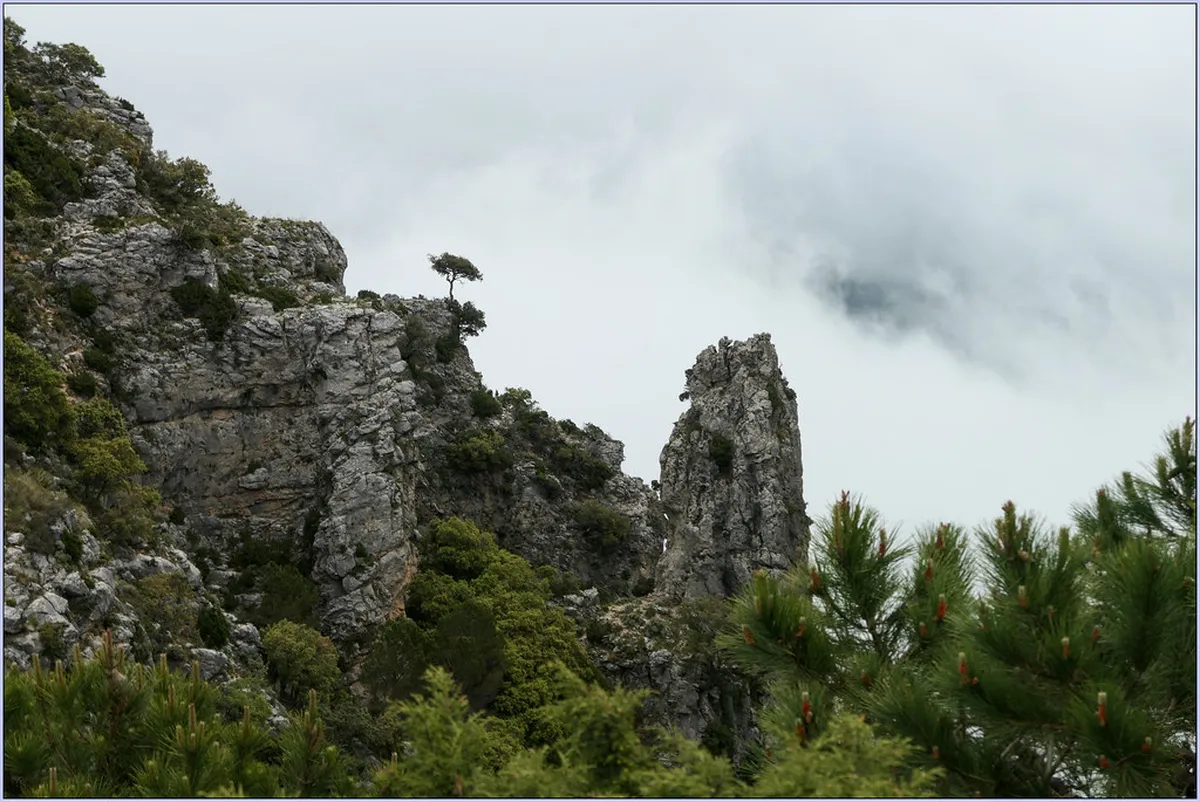 Sierra de Grazalema Natural Park