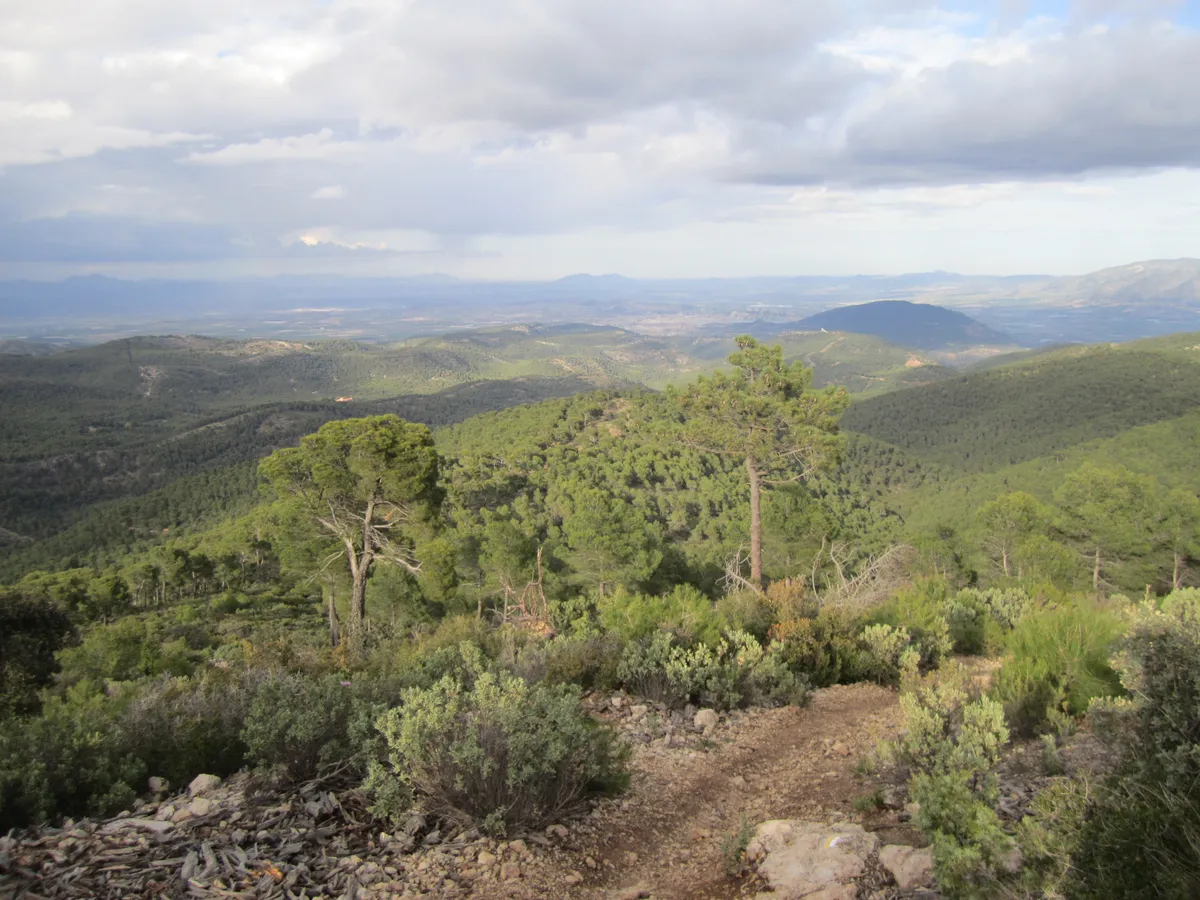 Sierra Espuña Regional Park