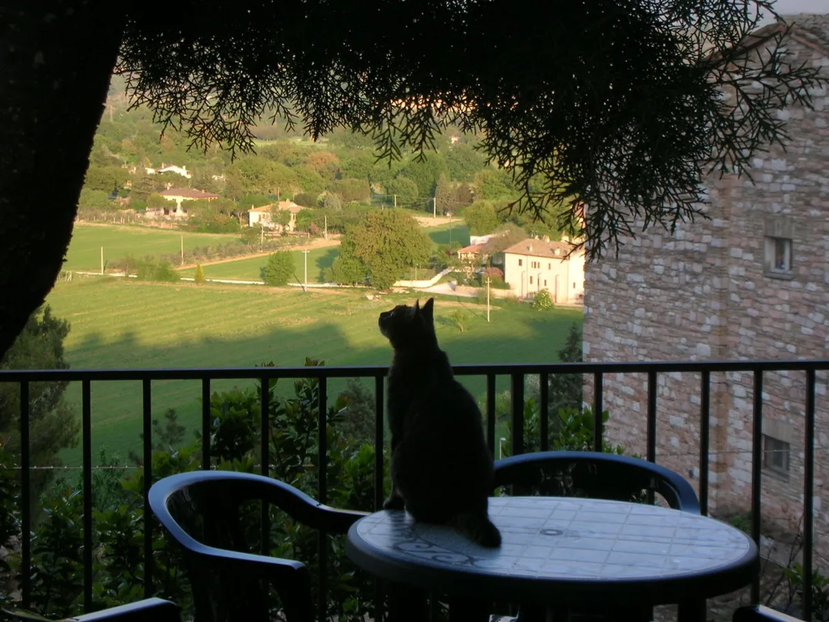 Spello