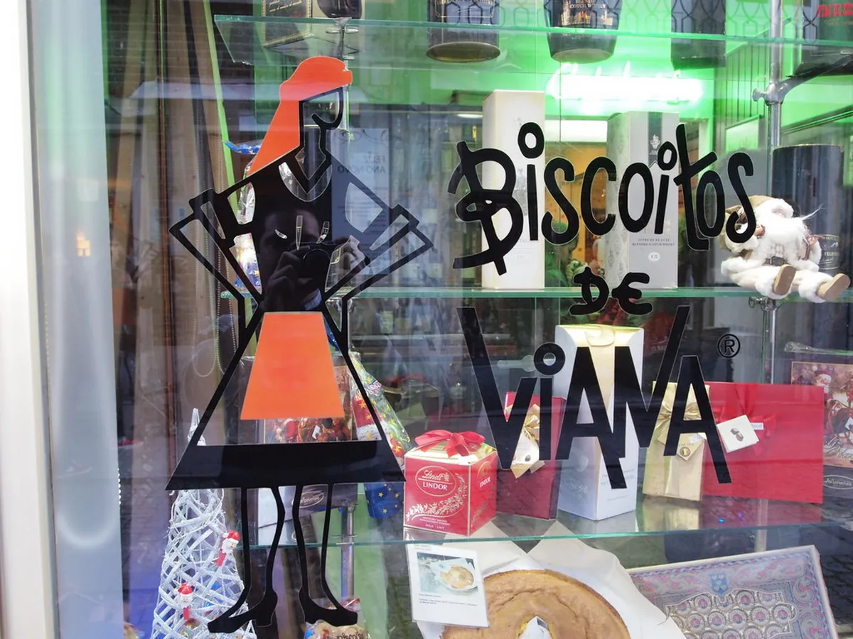 Introduction to things to do in viana do castelo