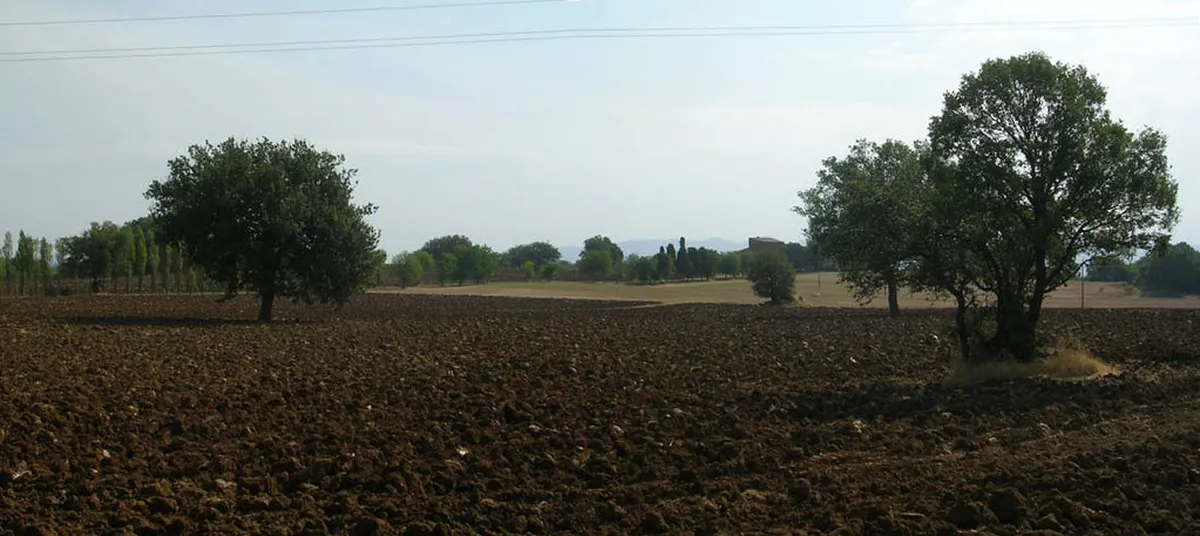 Tuscia